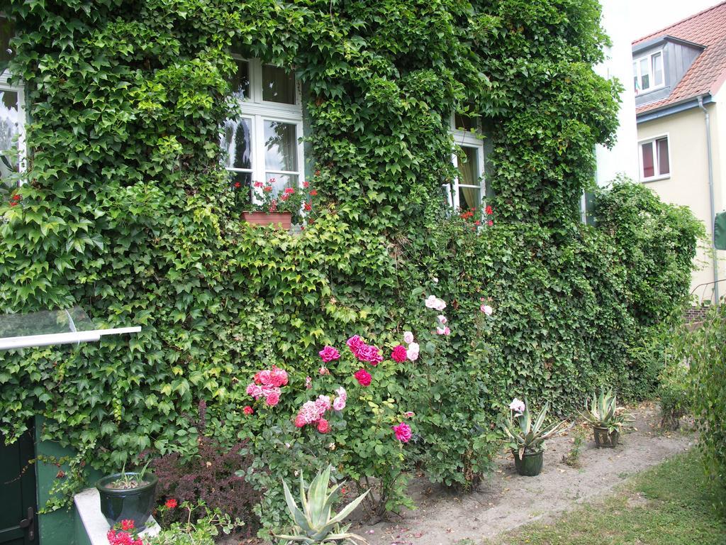 3 Sterne Hotel Frankfurt-Oder Zur Alten Oder Frankfurt  Екстер'єр фото
