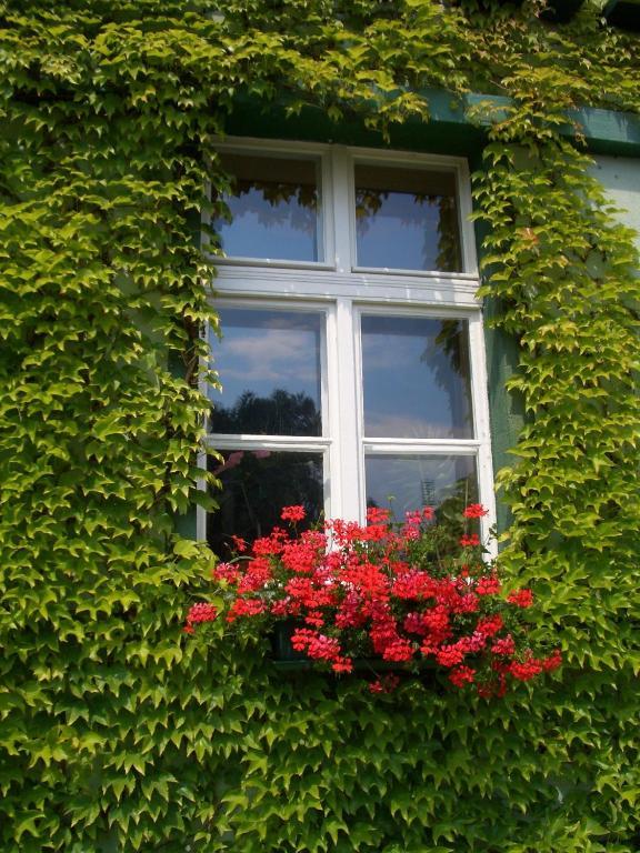 3 Sterne Hotel Frankfurt-Oder Zur Alten Oder Frankfurt  Екстер'єр фото